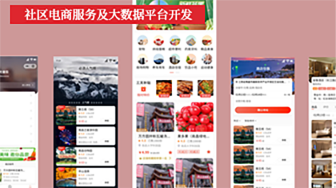 項目案例：社區(qū)電商服務及大數(shù)據(jù)平臺開發(fā)